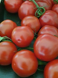 High angle view of tomatoes