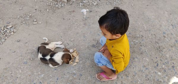 High angle view of boy feeding puppy outdoors