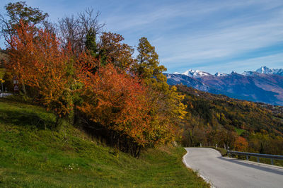 Road by trees against sky during autumn