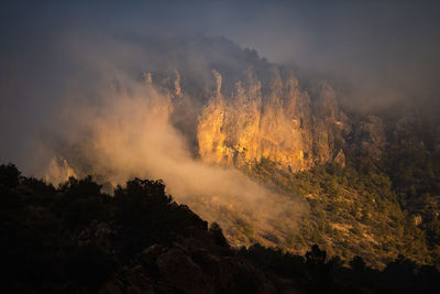 Scenic view of forest against sky in big bend national park - texas