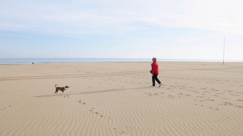Woman with dog walking at beach against sky
