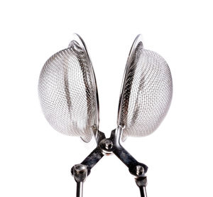 Close-up of insect over white background