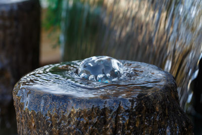 Close-up of ice cubes in water