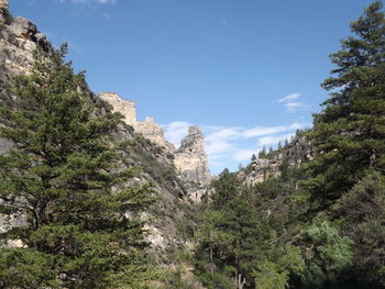 Trees and mountains against sky