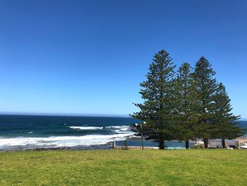 Scenic view of sea against clear blue sky