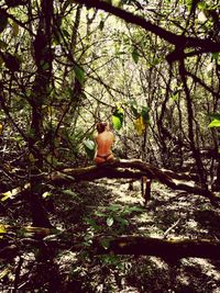 Rear view of shirtless woman sitting in forest