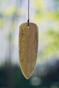 Close-up of wind chime hanging outdoors