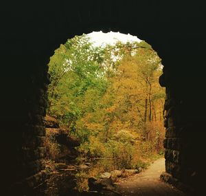 Close-up view of road through window