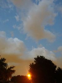 Low angle view of silhouette trees against sky during sunset