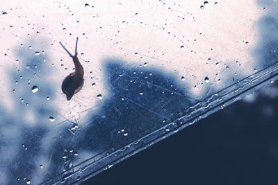 Close-up of water drops on table