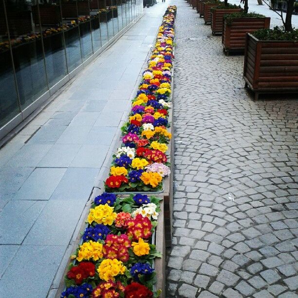 yellow, in a row, multi colored, diminishing perspective, the way forward, street, abundance, variation, outdoors, colorful, high angle view, day, large group of objects, pattern, no people, repetition, choice, cobblestone, arrangement, transportation