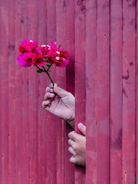 Cropped hand of woman holding flowers