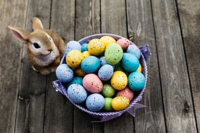 View of multi colored eggs on wooden table