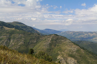environment