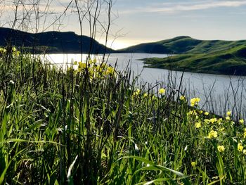 Scenic view of lake against sky