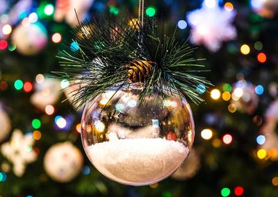 Close-up of christmas tree at night