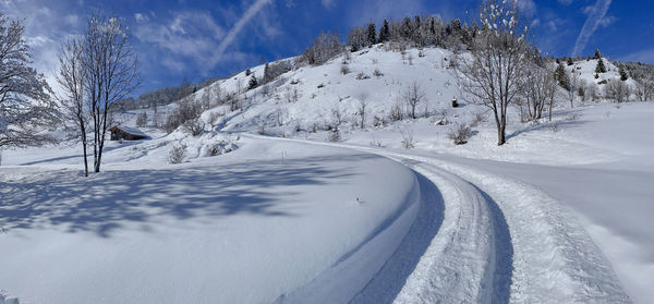 snow