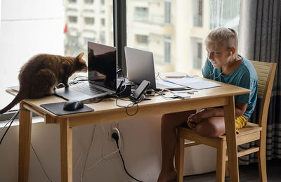 Teenage school boy student studying online on laptop near playful cat. online education, pet loved 