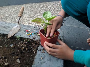 Low section of girl holding potted plant outdoors