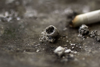 Close-up of burnt cigarette on field