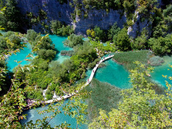 High angle view of trees by sea