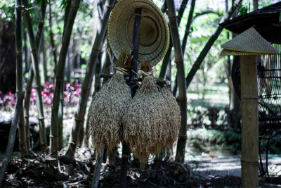 Rear view of giraffe hanging on tree trunk in forest