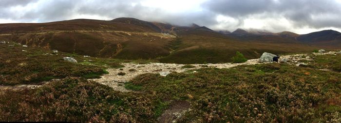 Panoramic view of landscape