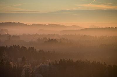 Scenic view of trees against sky at sunset