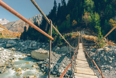 Footbridge over river in forest