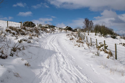 A winter snowy scene