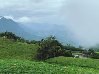 Scenic view of trees on field against mountains