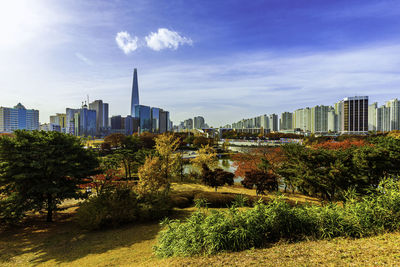 Trees and buildings in city against sky