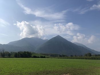 Scenic view of field against sky