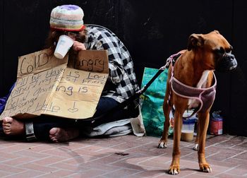 Close-up of dog with text