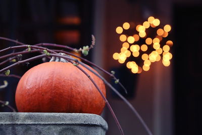 Close-up of pumpkin