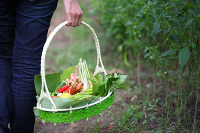 Midsection of man holding leaf in basket