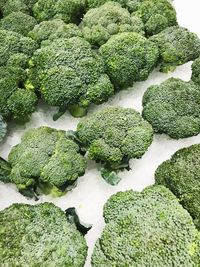 High angle view of vegetables