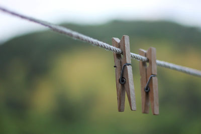 Close-up of clothes pegs on rope