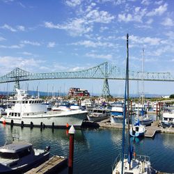 Sailboats moored at harbor against sky