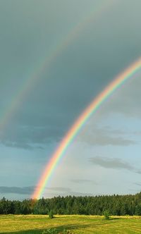 Scenic view of rainbow over field against sky