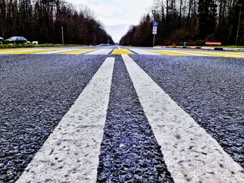 Surface level of road against trees