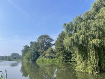 Reflection of trees in lake against sky