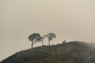 Silhouette trees on landscape against clear sky