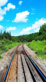 Railroad track amidst trees against sky