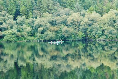 Scenic view of lake against trees