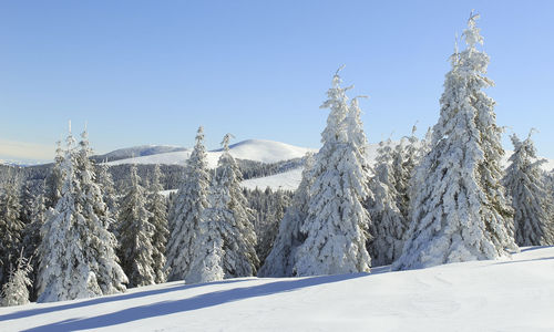 Panoramic view of snowcapped mountains against clear blue sky