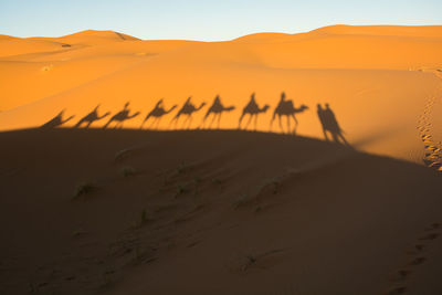 View of sand dunes in desert