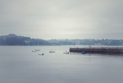 Sailboats sailing in sea against sky