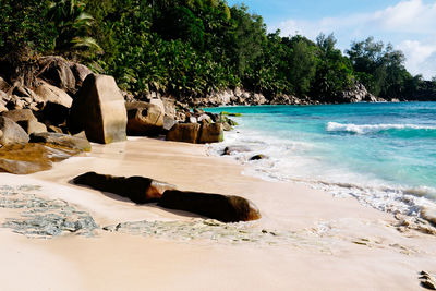 Rocks on beach