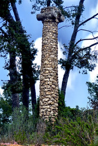 Low angle view of trees on field against sky